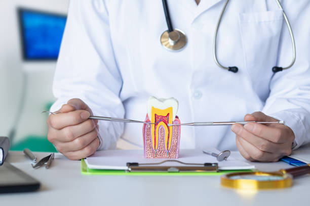 Best Emergency Dental Services for Seniors in Gilmer, TX